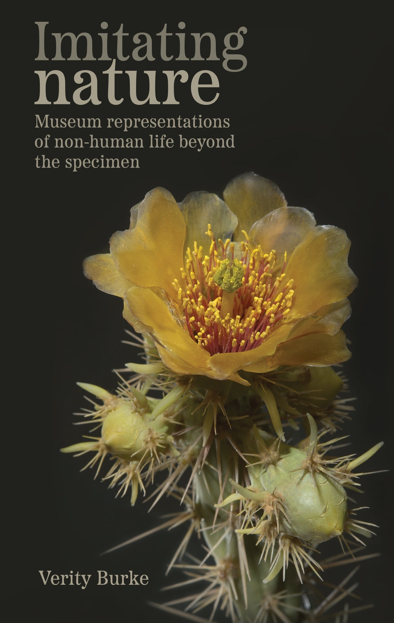 Cover image for Imitating nature ISBN 9781526174888