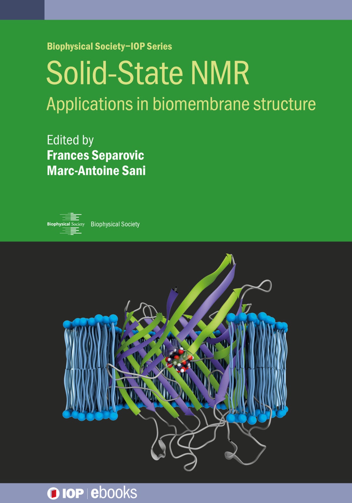 Cover image for Solid-State NMR ISBN 9780750325325