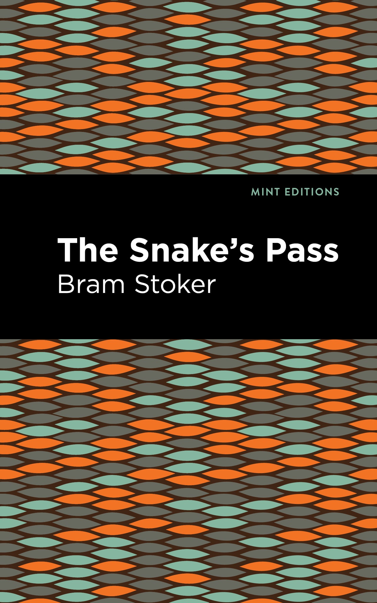 Cover image for The Snake's Pass ISBN 9781513132846