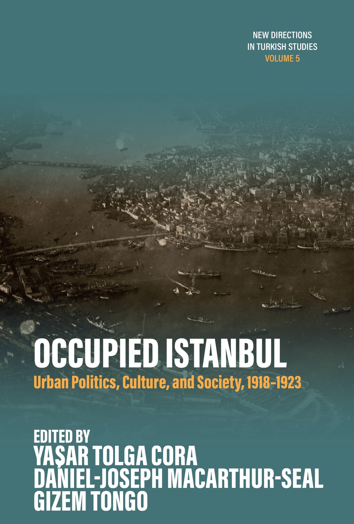 Cover image for Occupied Istanbul ISBN 9781836955009