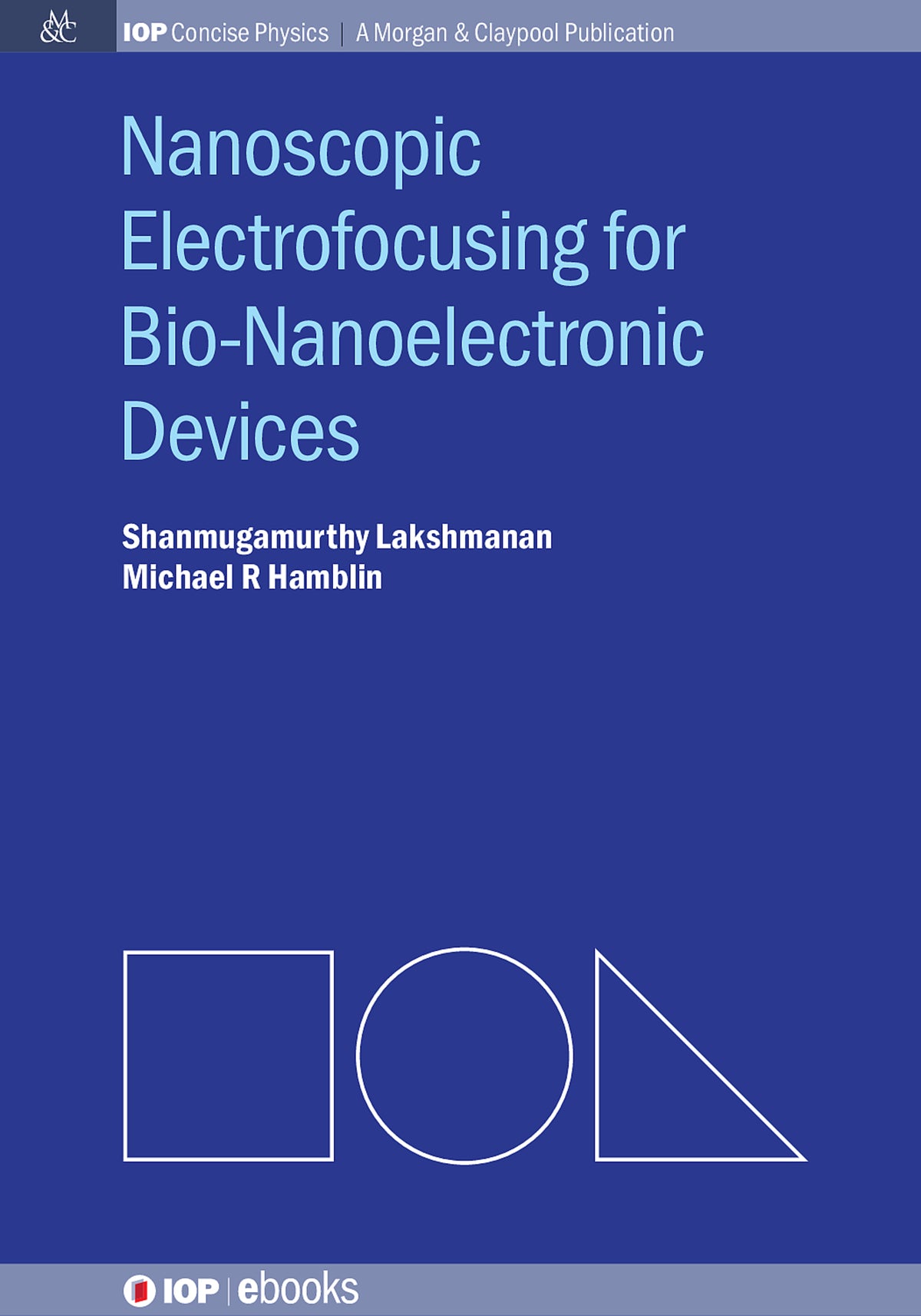 Cover image for Nanoscopic Electrofocusing for Bio-Nanoelectronic Devices ISBN 9780750327756