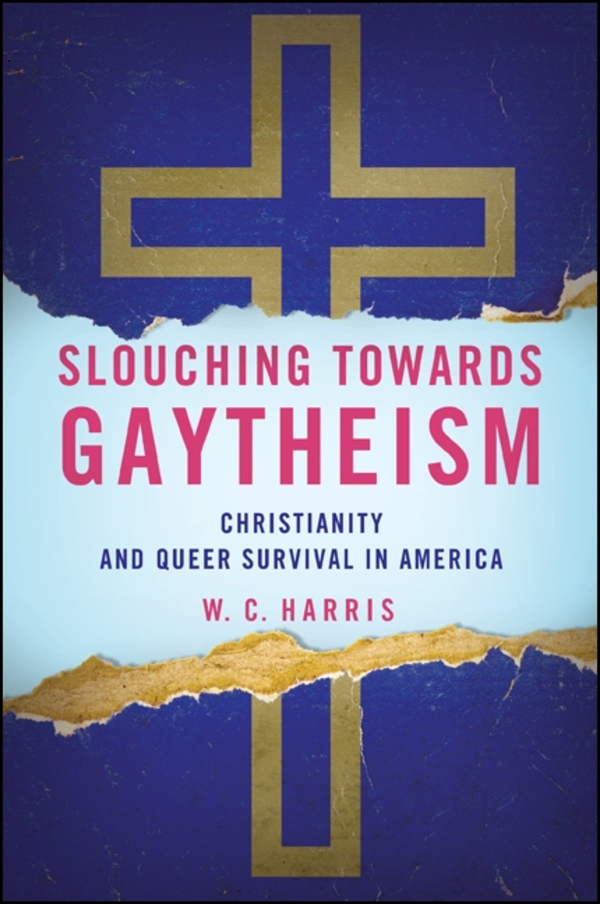 Cover image for Slouching towards Gaytheism ISBN 9781438451114