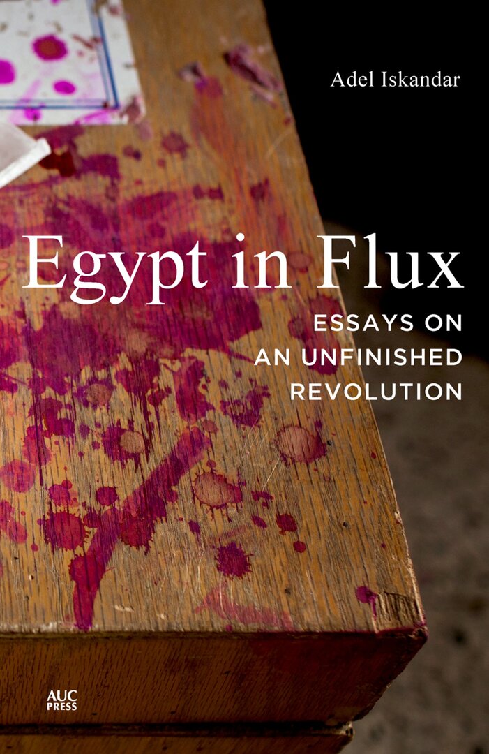 Cover image for Egypt in Flux ISBN 9789774165962