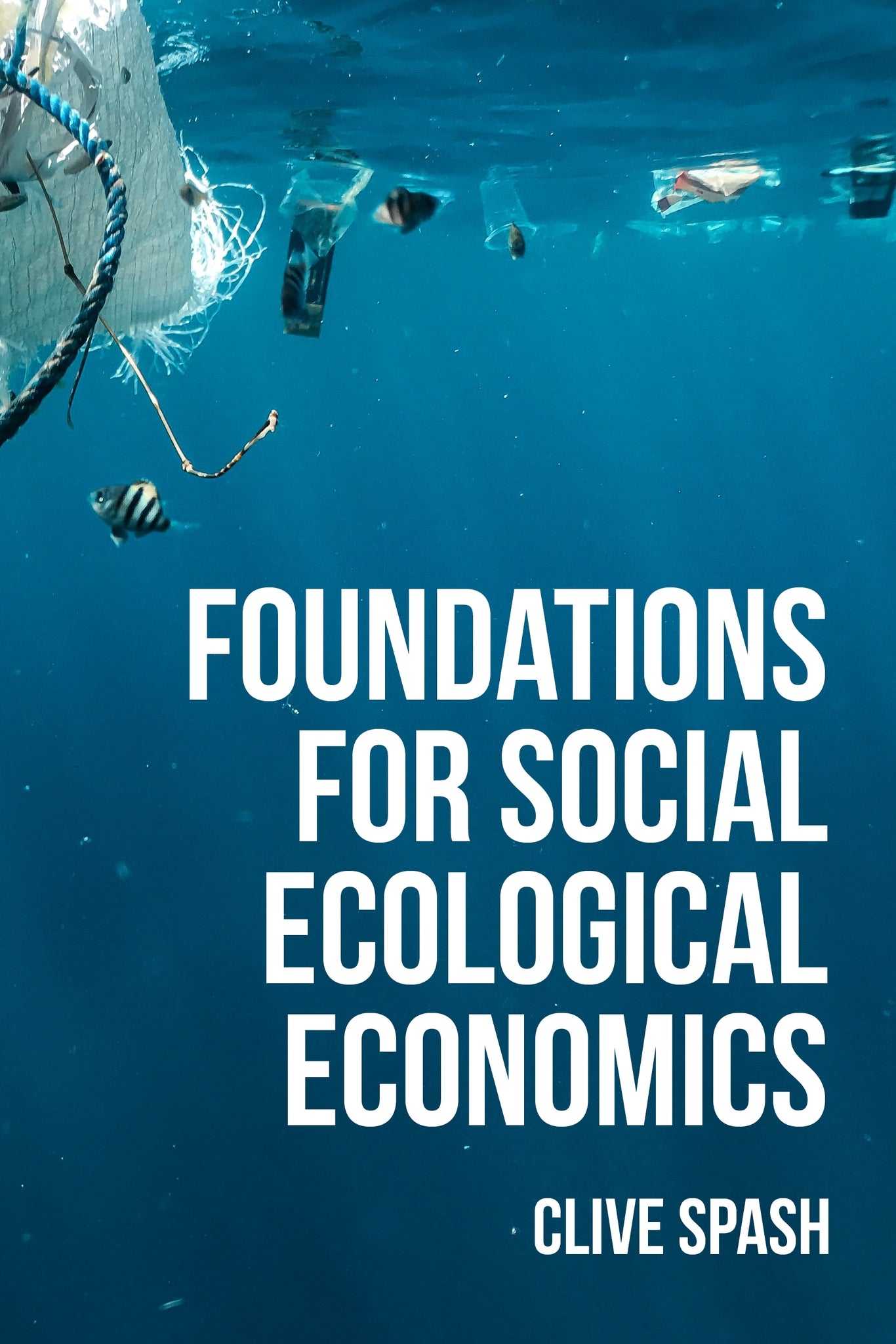 Foundations of social ecological economics