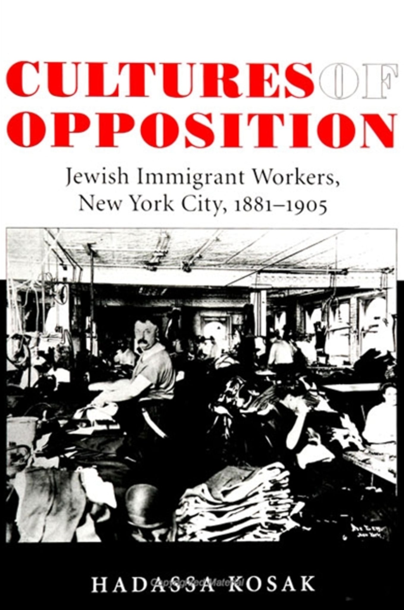 Cover image for Cultures of Opposition ISBN 9780791445846