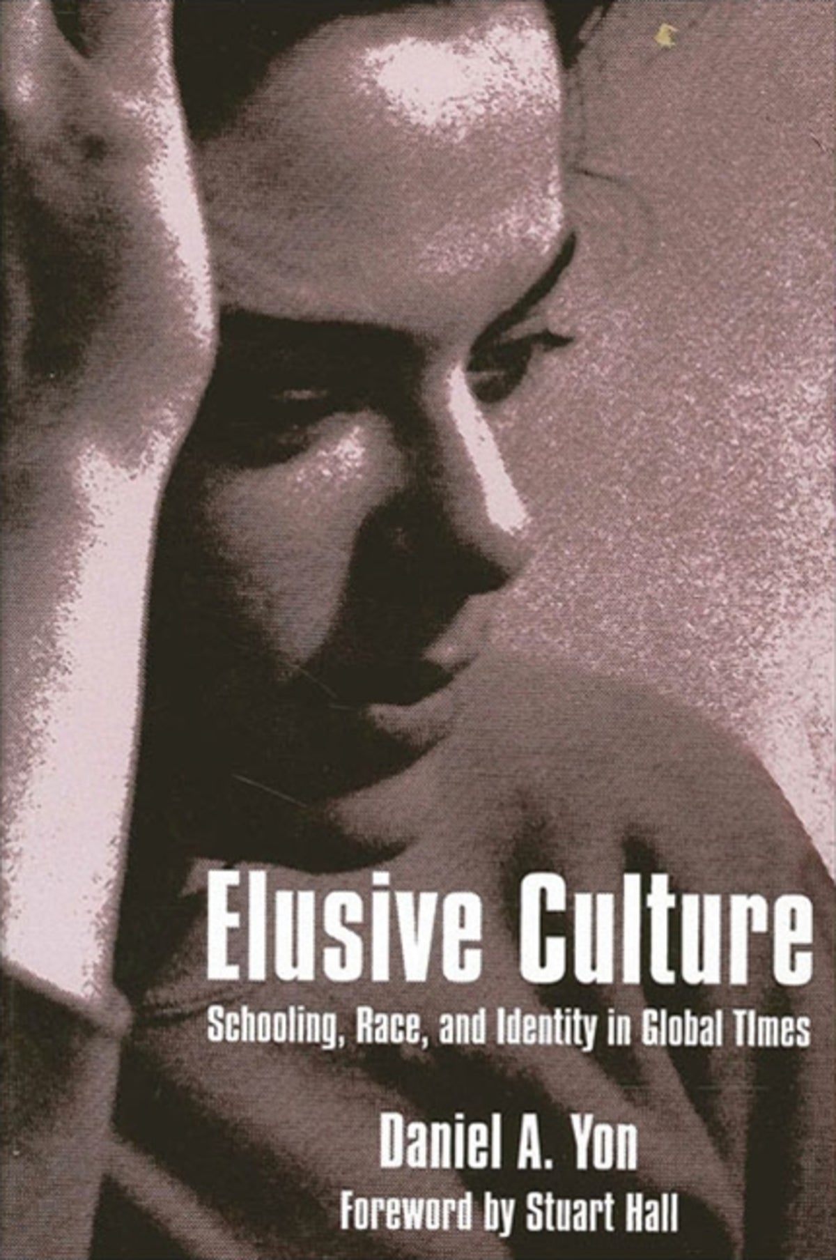 Cover image for Elusive Culture ISBN 9780791444825