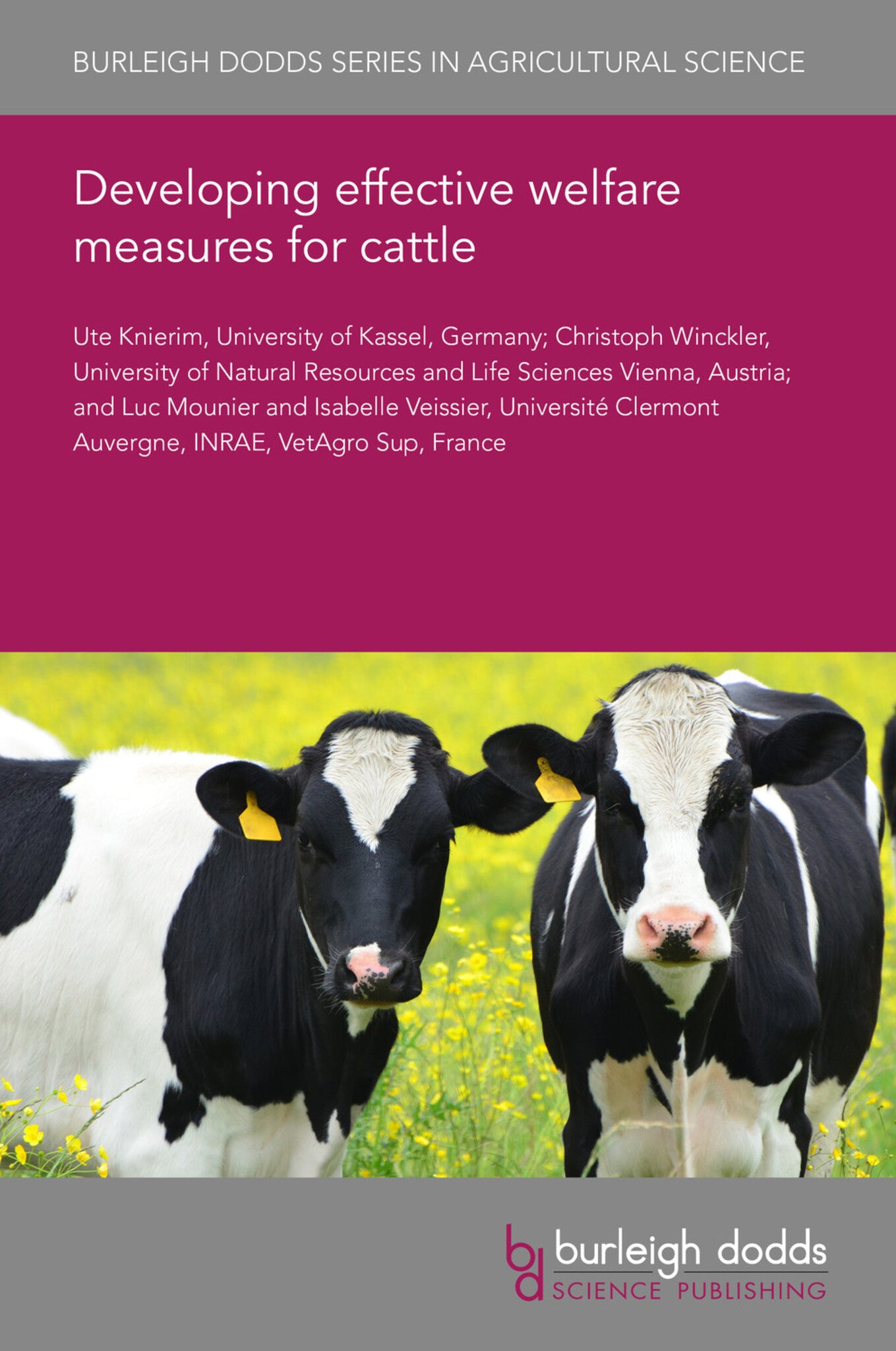 Developing effective welfare measures for cattle