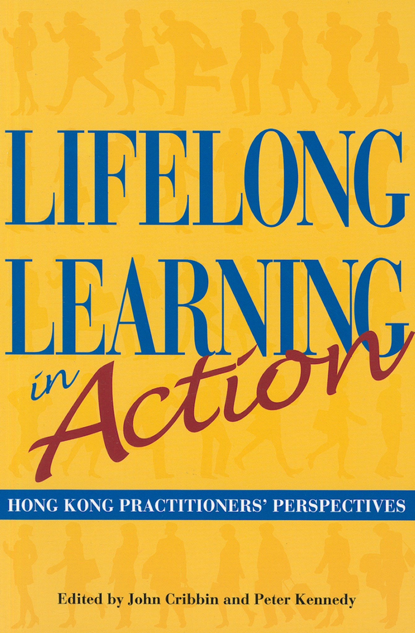 Lifelong Learning in Action