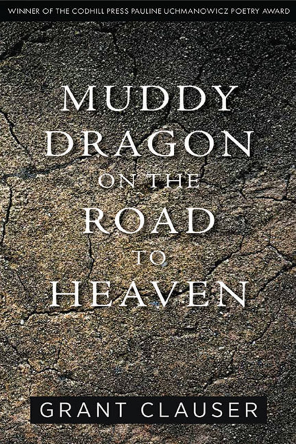 Cover image for Muddy Dragon on the Road to Heaven ISBN 9781949933079