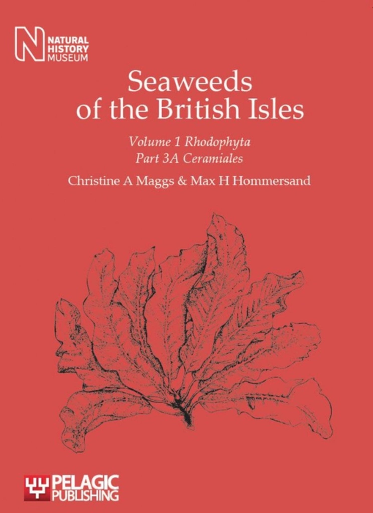 Seaweeds of the British Isles