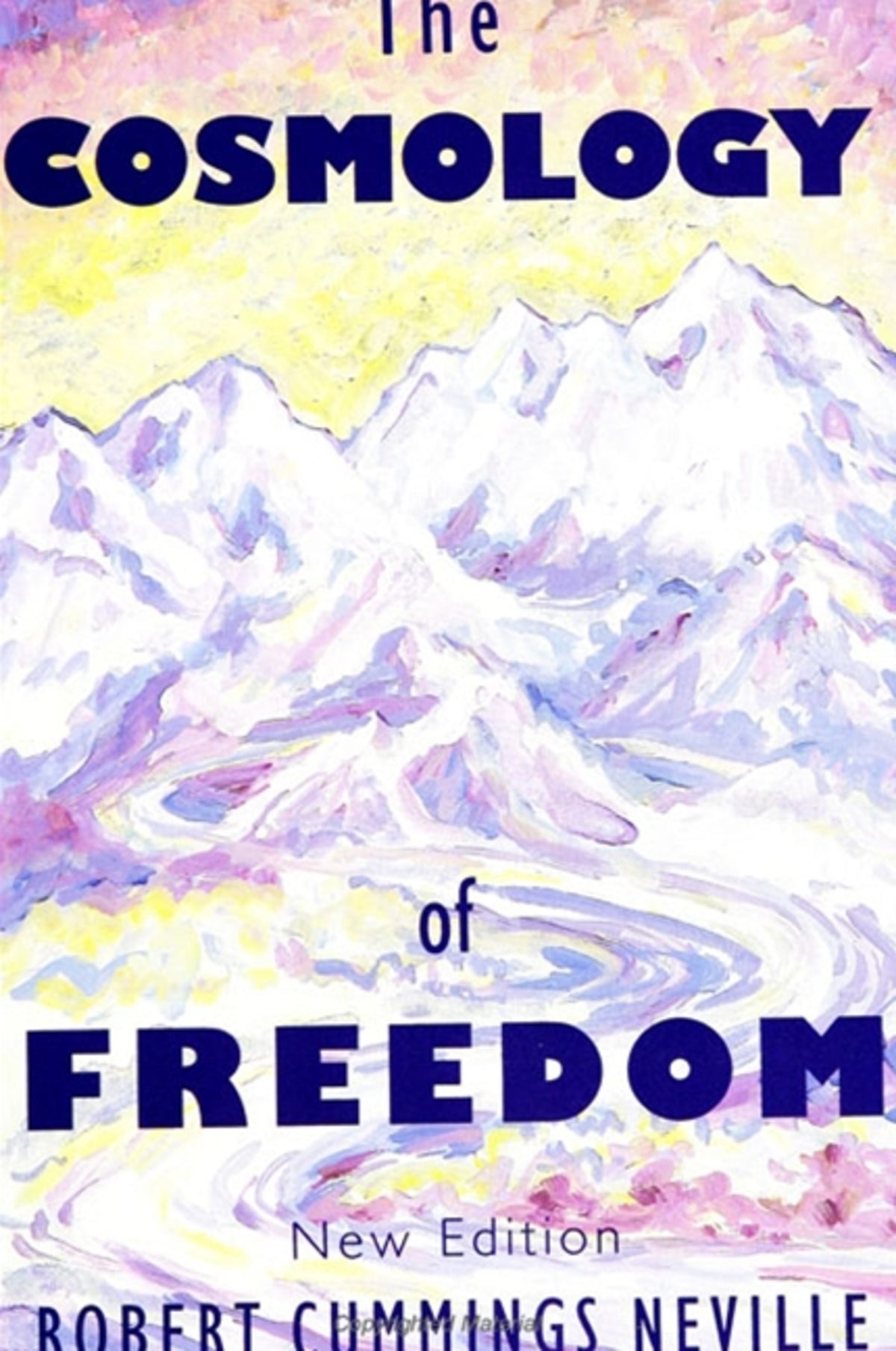 Cover image for The Cosmology of Freedom ISBN 9780791427583