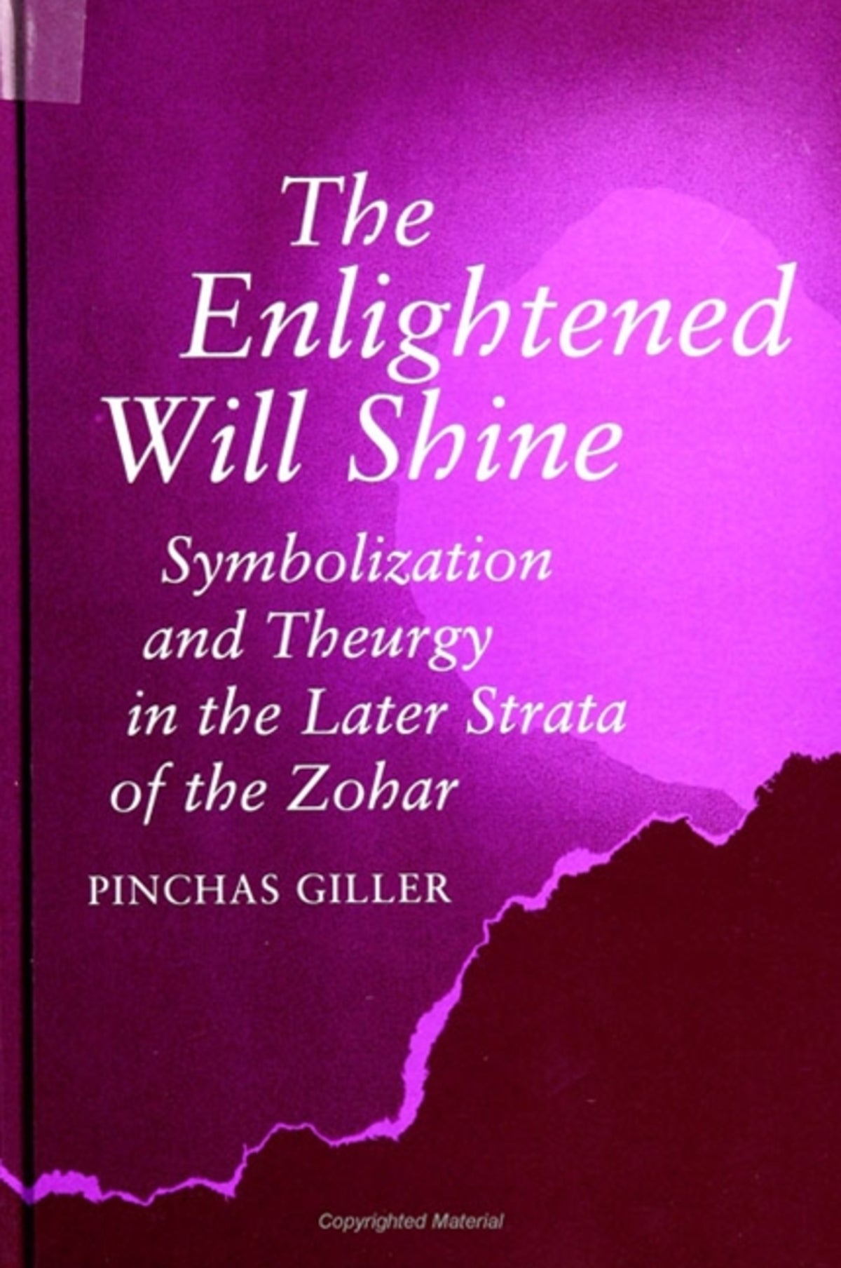 Cover image for The Enlightened Will Shine ISBN 9780791417119