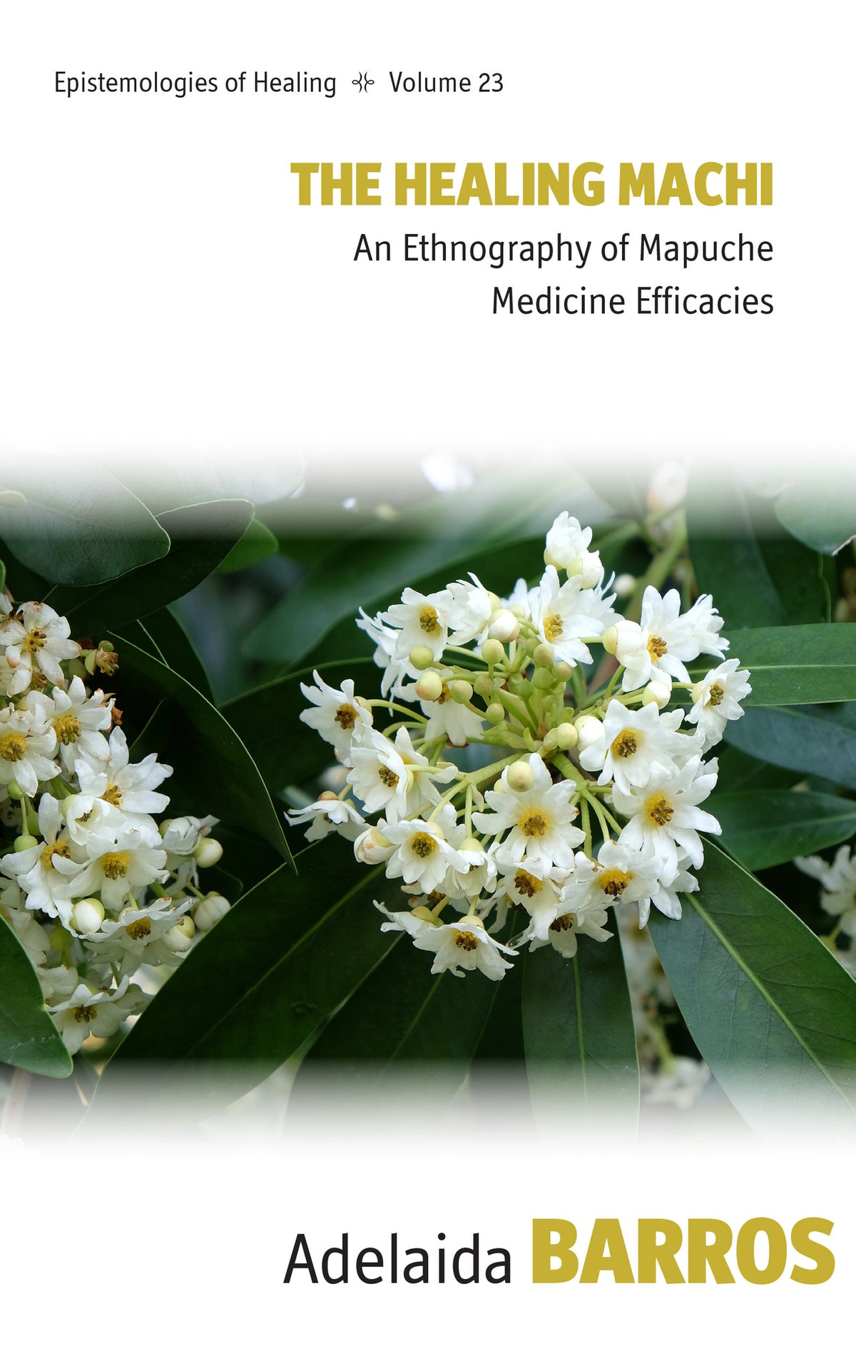 Cover image for The Healing Machi ISBN 9781807580223