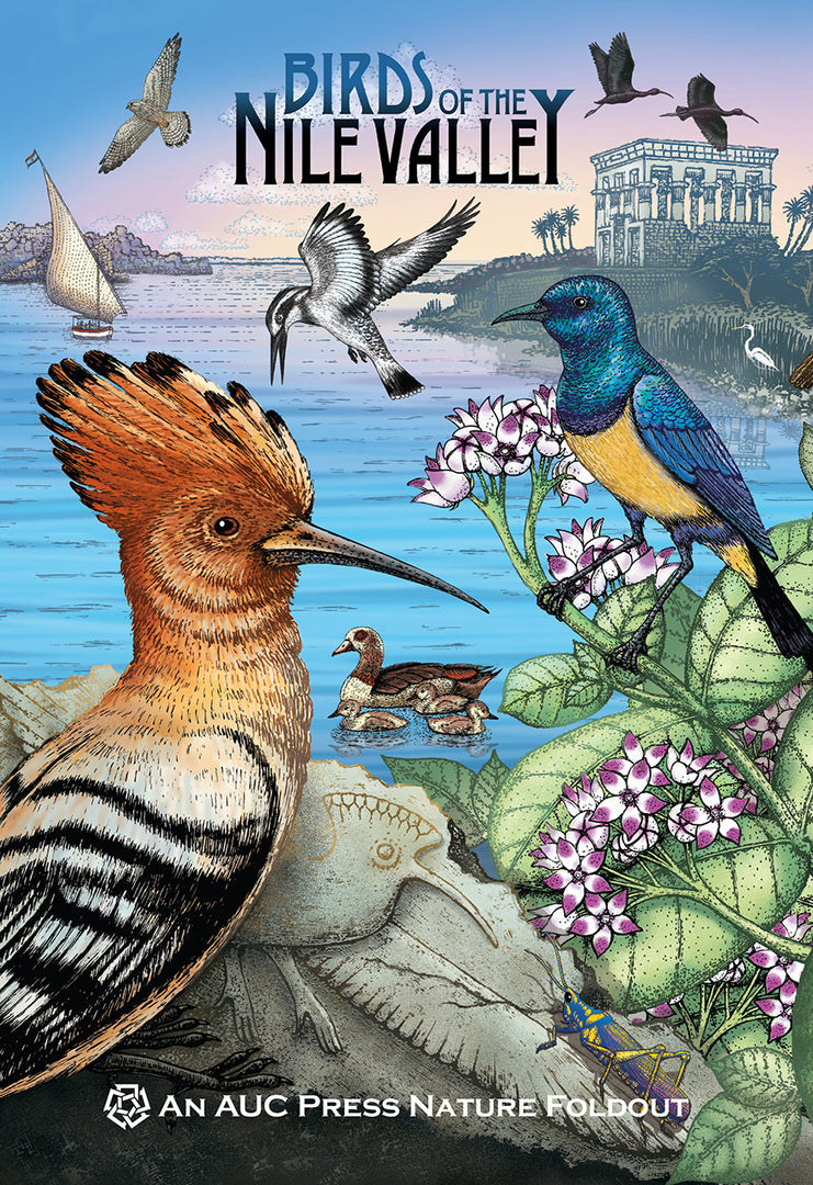 Cover image for Birds of the Nile Valley ISBN 9789774165795