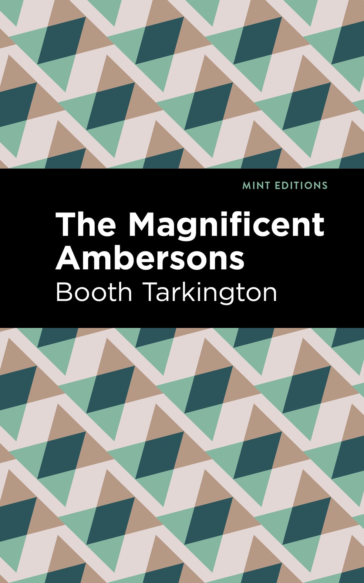 Cover image for The Magnificent Ambersons ISBN 9781513203973