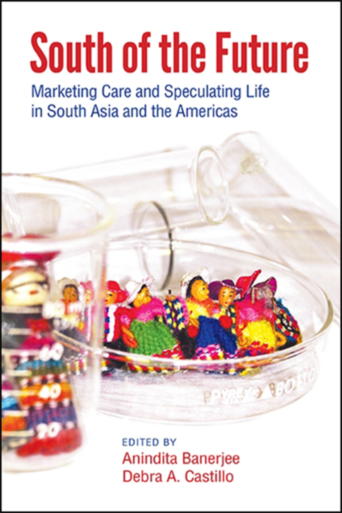 Cover image for South of the Future ISBN 9781438481074