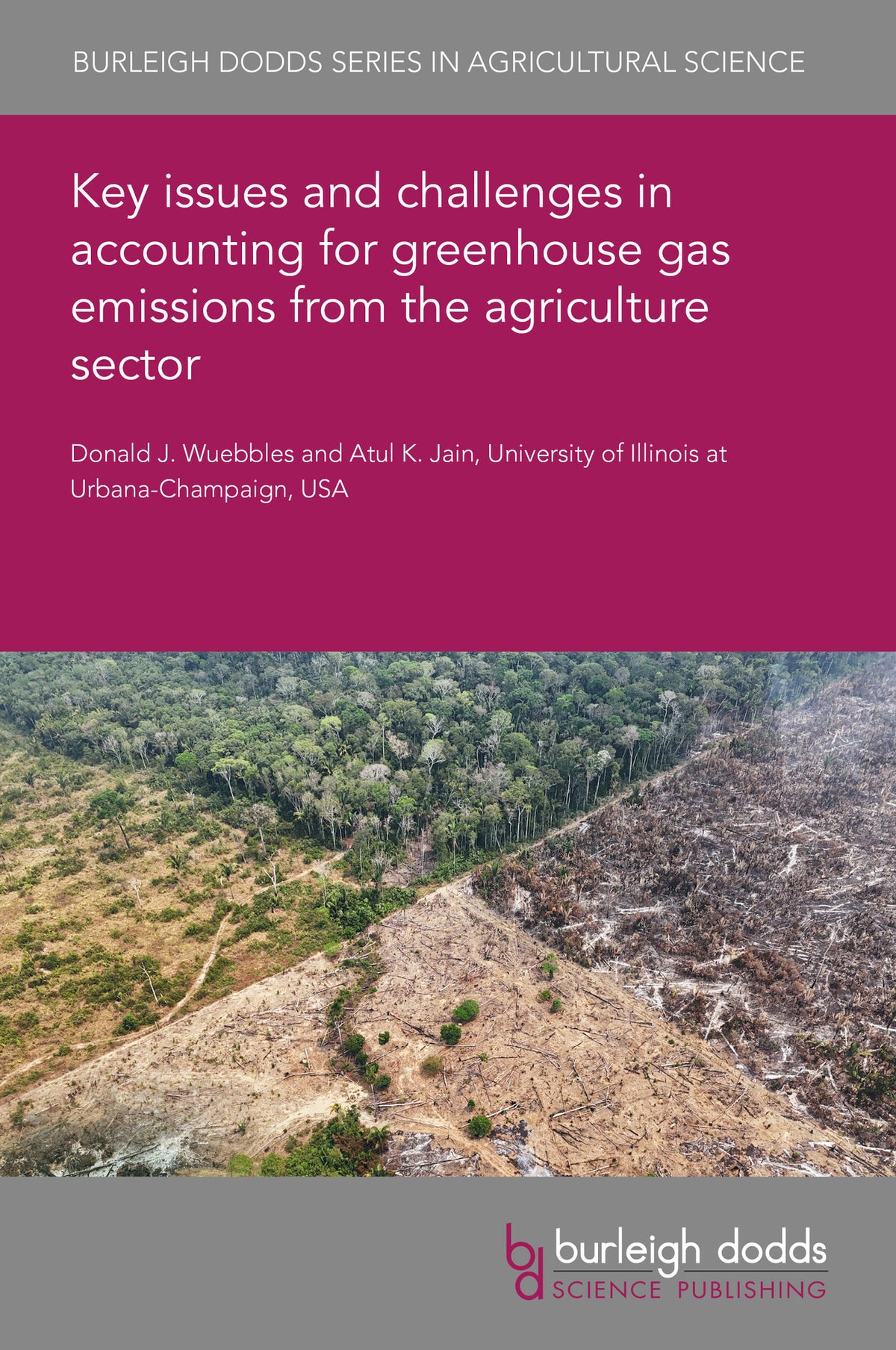 Key issues and challenges in accounting for greenhouse gas emissions from the agriculture sector