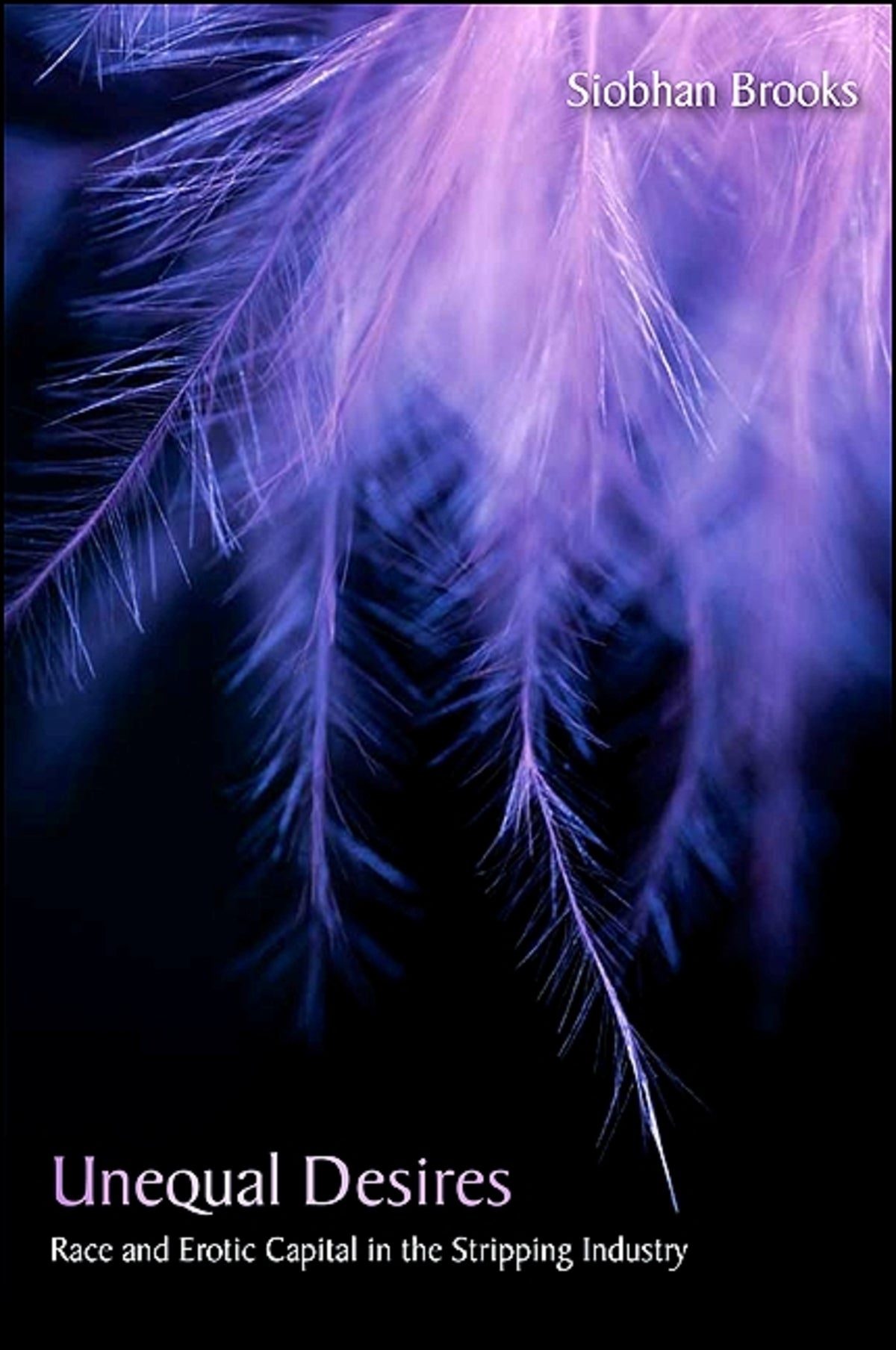 Cover image for Unequal Desires ISBN 9781438432144