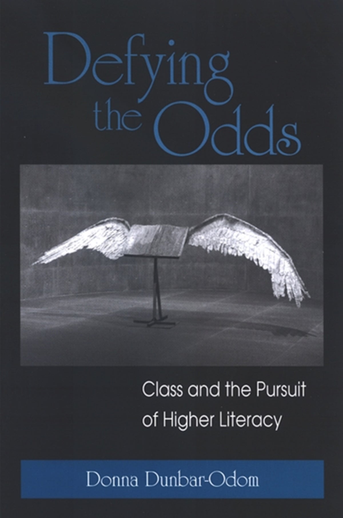 Cover image for Defying the Odds ISBN 9780791469729