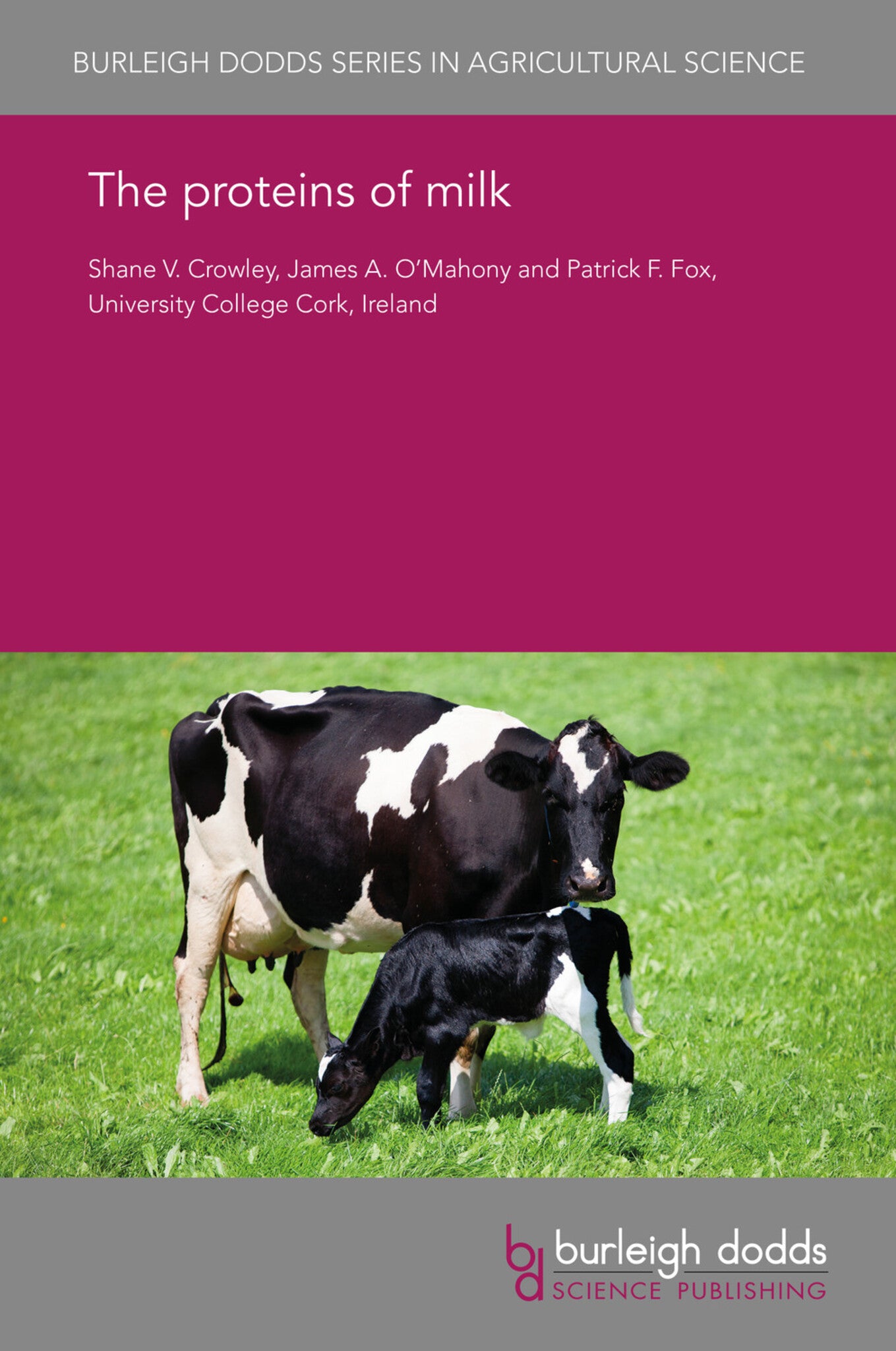 The proteins of milk