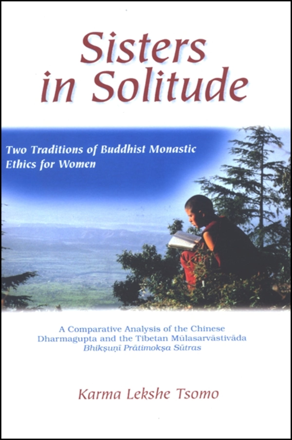 Cover image for Sisters in Solitude ISBN 9780791430903