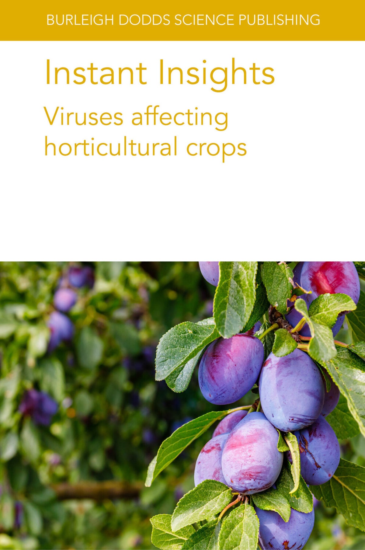 Cover image for Instant Insights: Viruses affecting horticultural crops ISBN 9781835450055