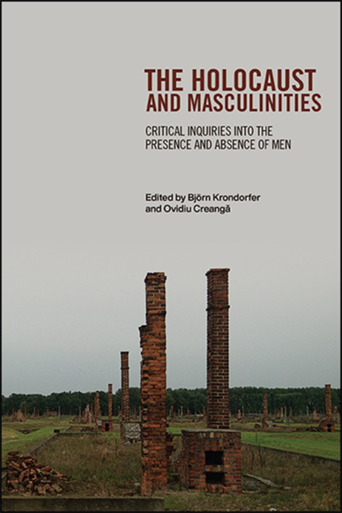 Cover image for The Holocaust and Masculinities ISBN 9781438477787