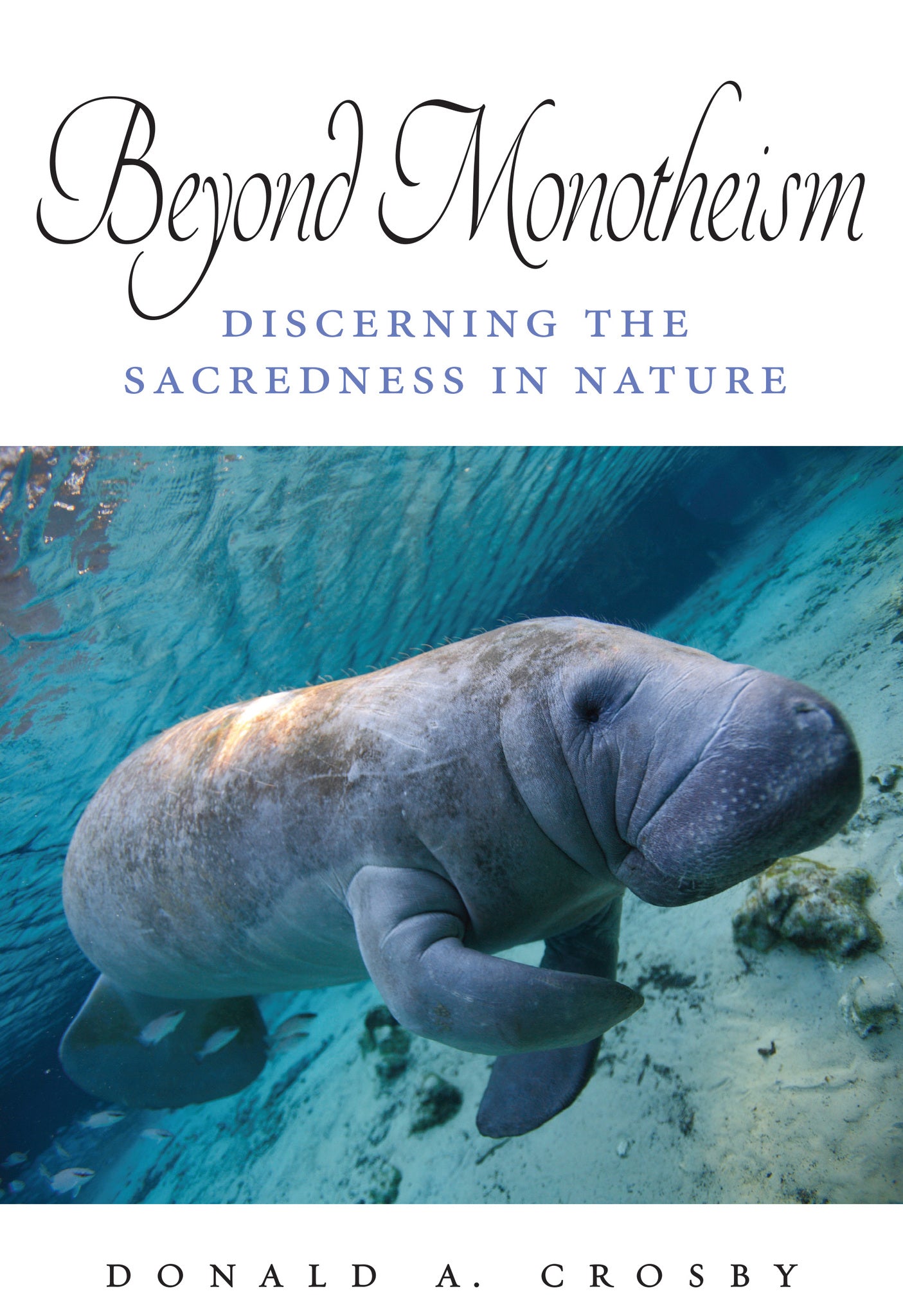 Beyond Monotheism