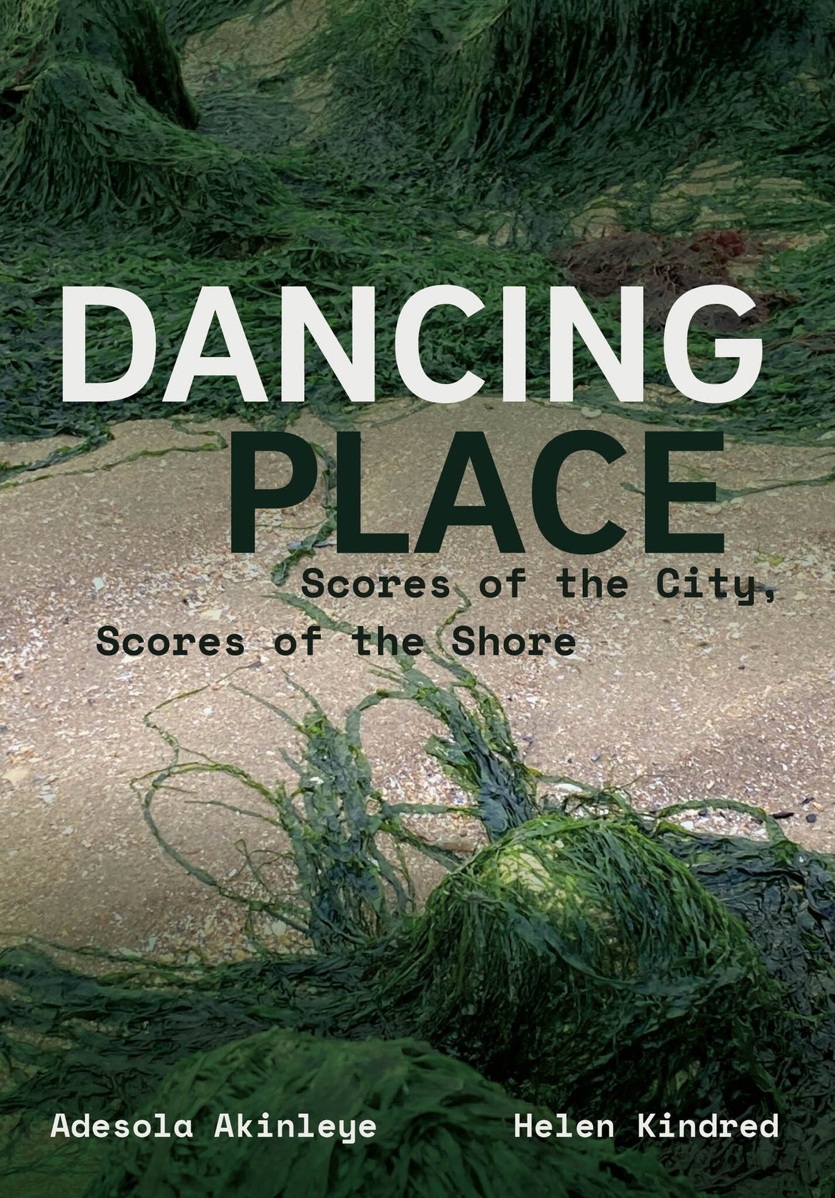 Cover image for Dancing Place ISBN 9781835951859