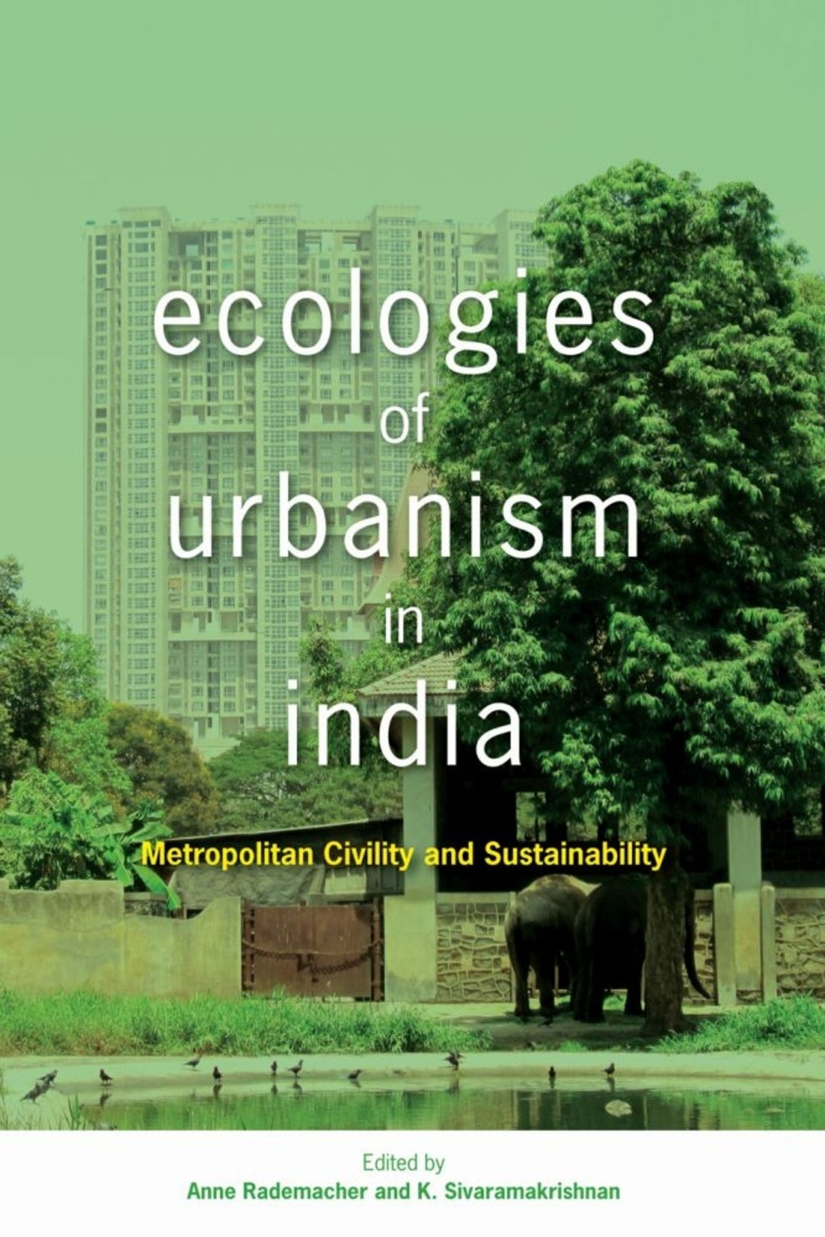 Cover image for Ecologies of Urbanism in India ISBN 9789888139774