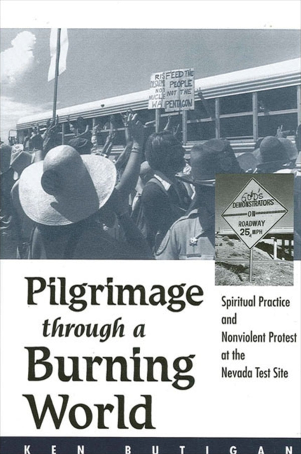 Cover image for Pilgrimage through a Burning World ISBN 9780791457788