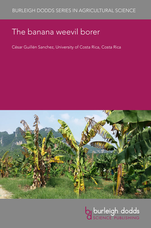 The banana weevil borer