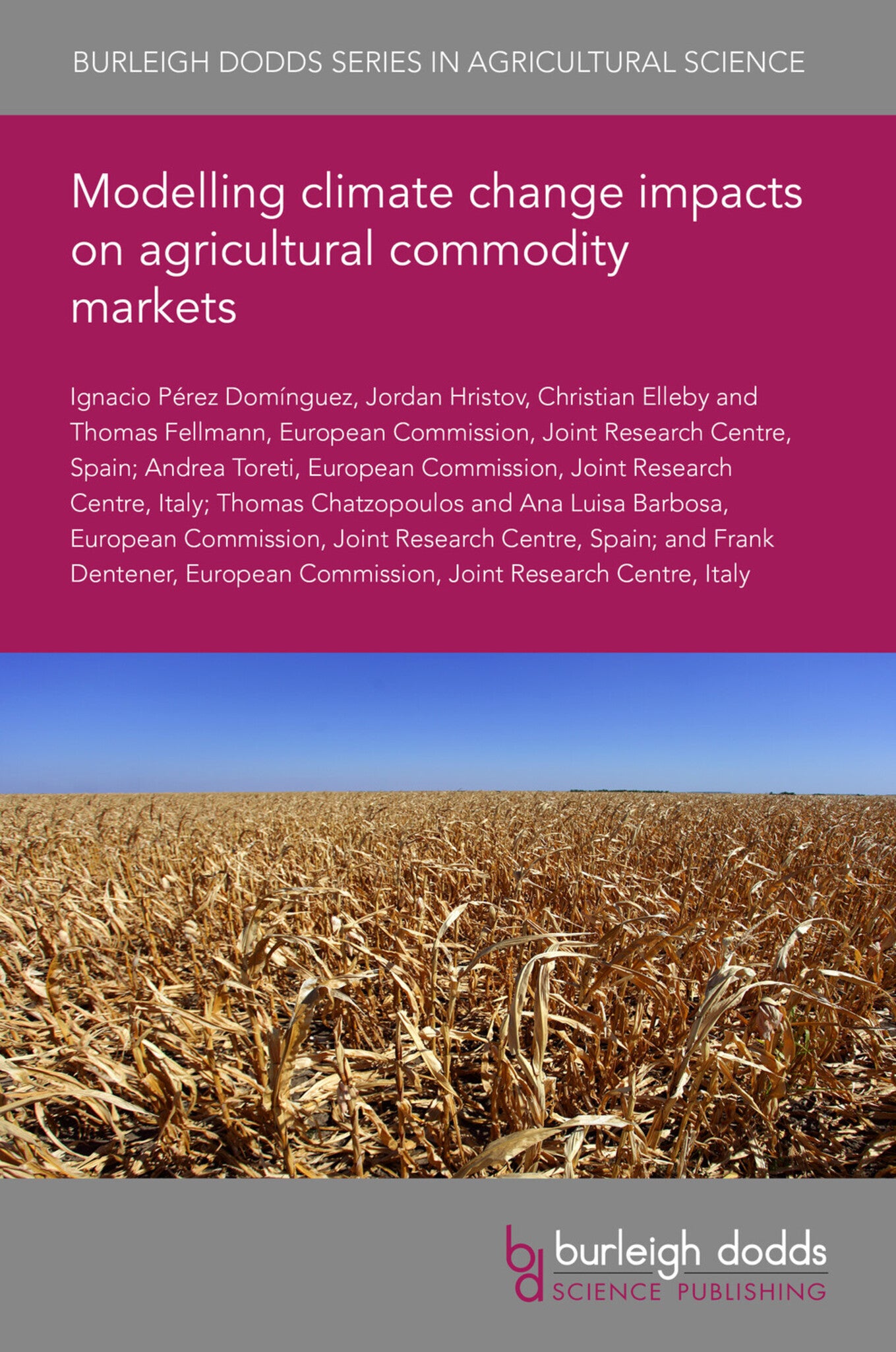 Modelling climate change impacts on agricultural commodity markets