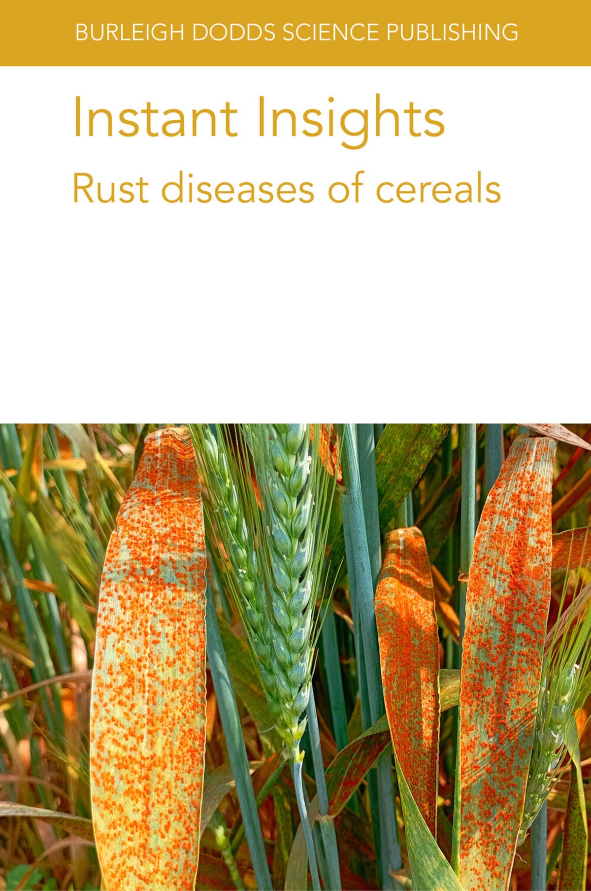 Cover image for Instant Insights: Rust diseases of cereals ISBN 9781801466332