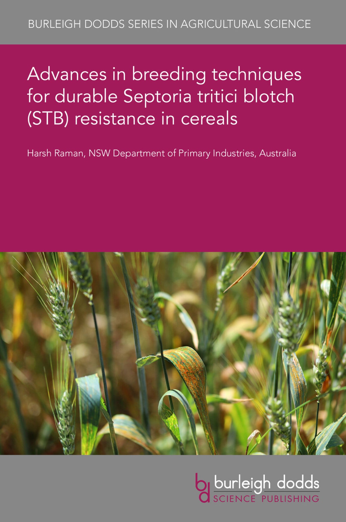 Cover image for Advances in breeding techniques for durable Septoria tritici blotch (STB) resistance in cereals ISBN 9781801462990