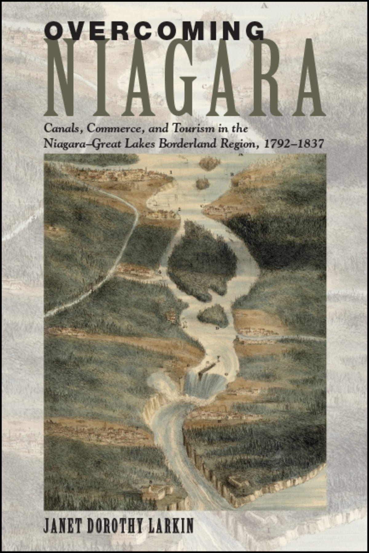 Cover image for Overcoming Niagara ISBN 9781438468242