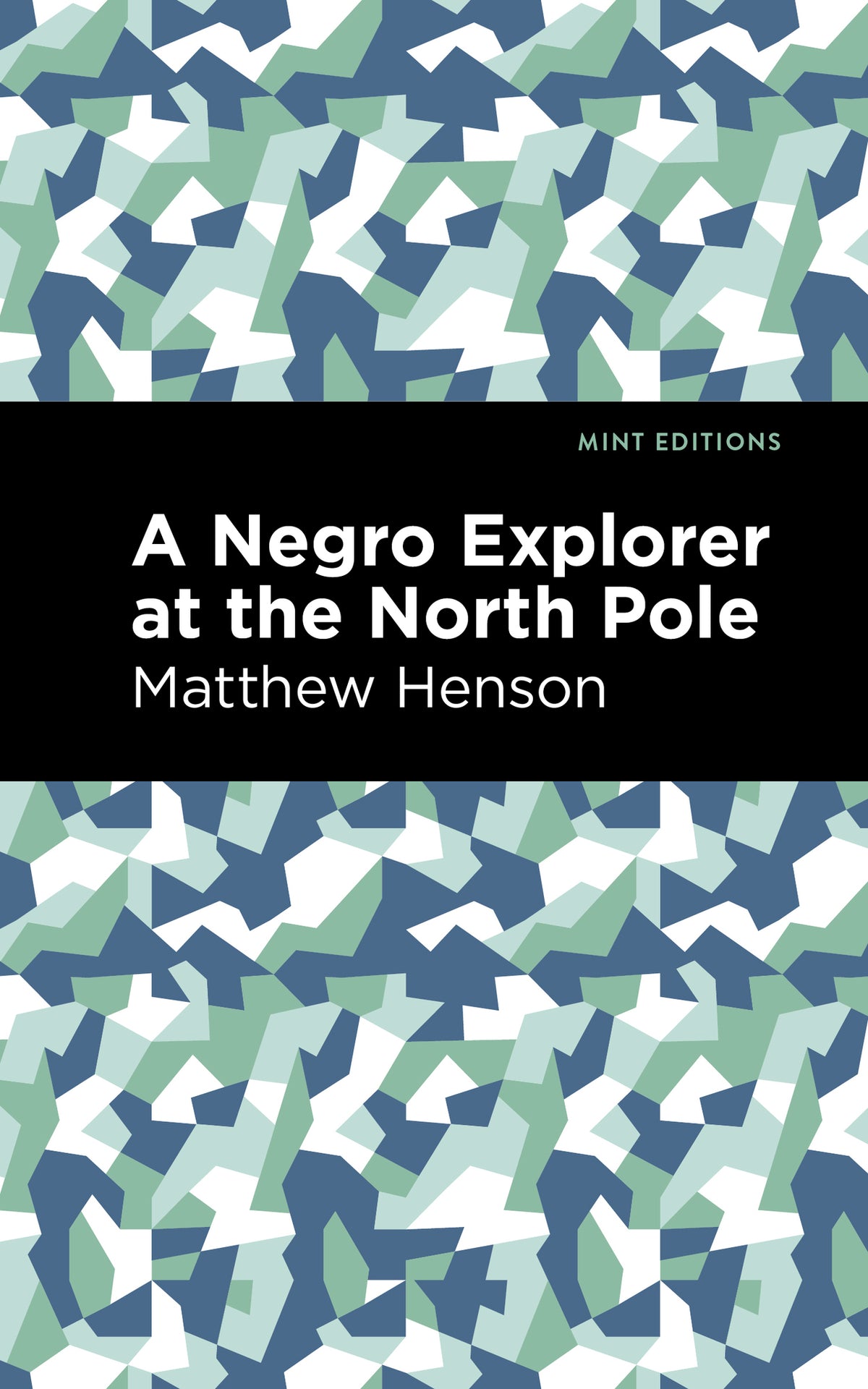 Cover image for A Negro Explorer at the North Pole ISBN 9781513208664