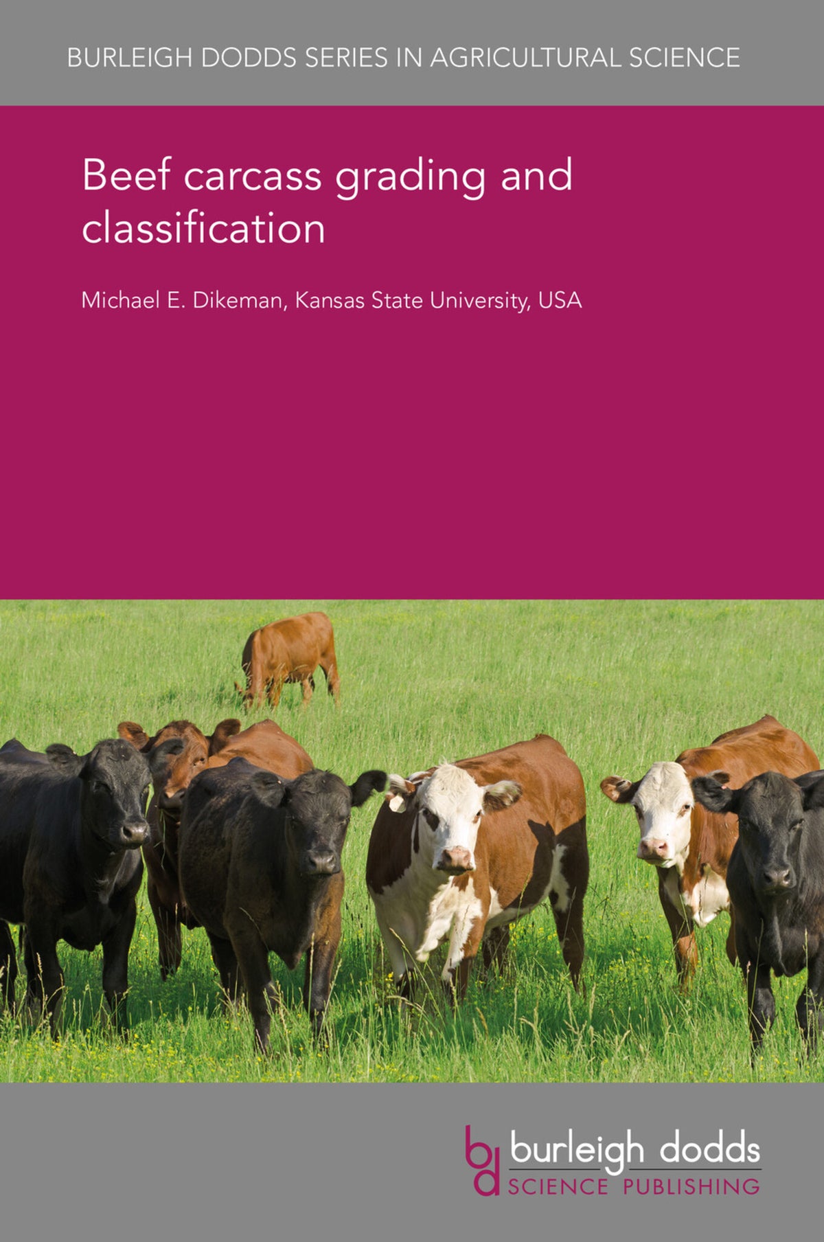 Beef carcass grading and classification