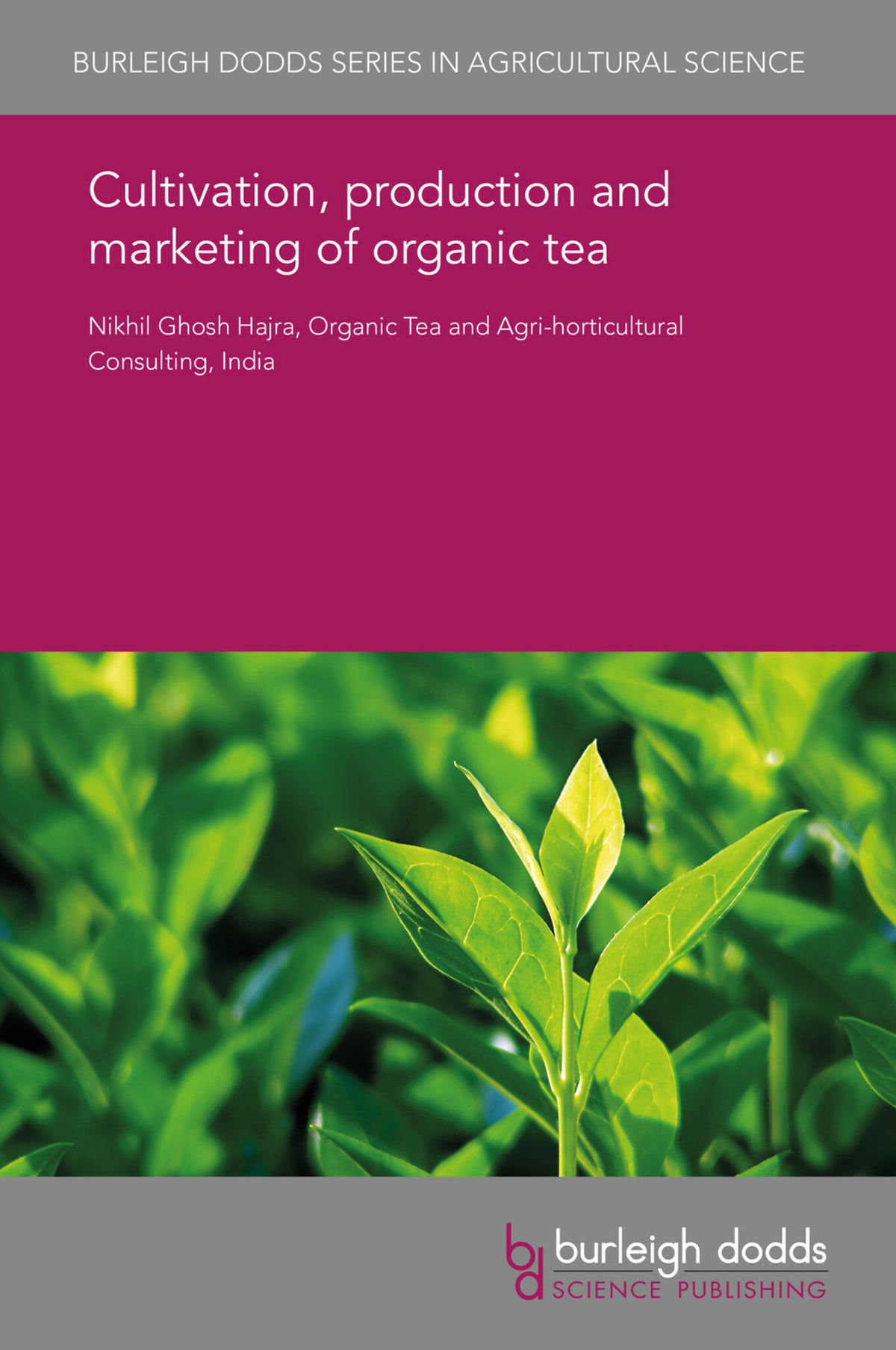 Cultivation, production and marketing of organic tea