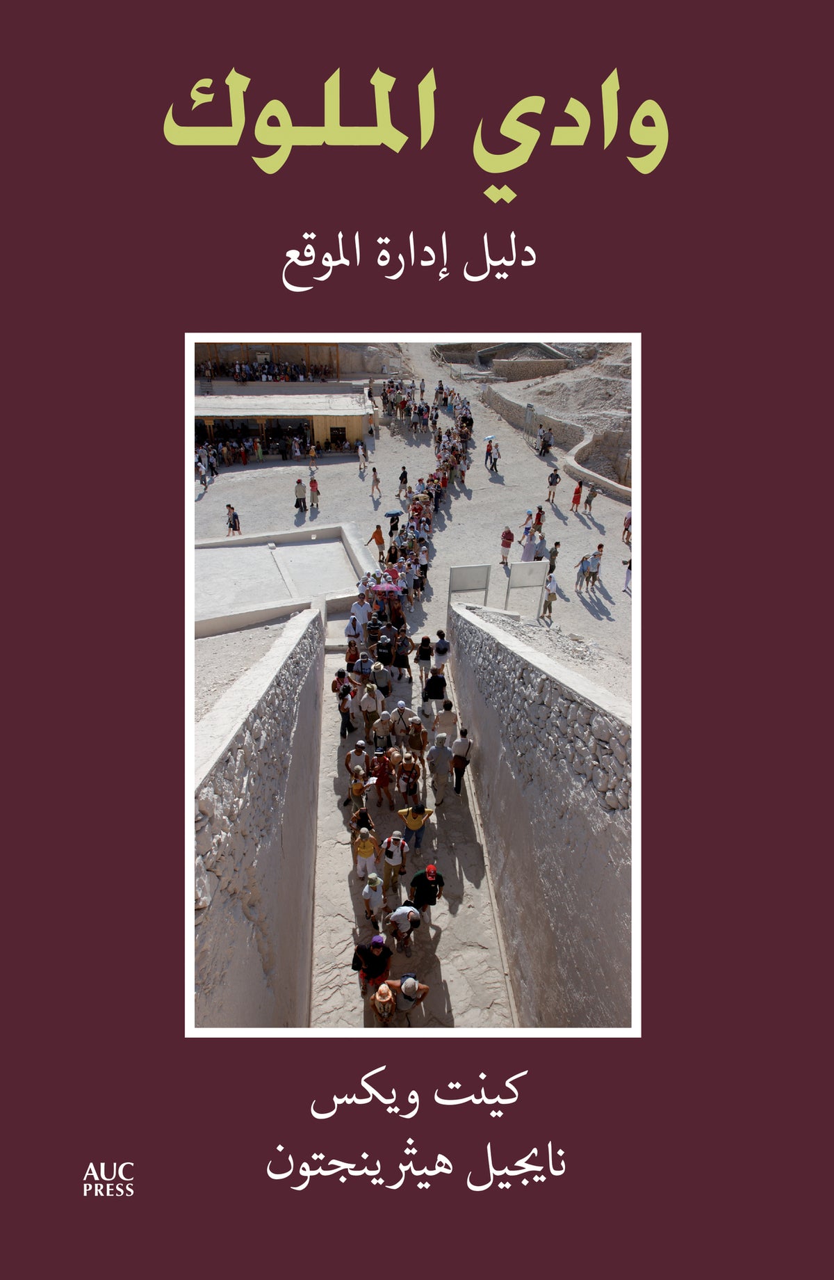 Cover image for The Valley of the Kings (Arabic edition) ISBN 9789774166099