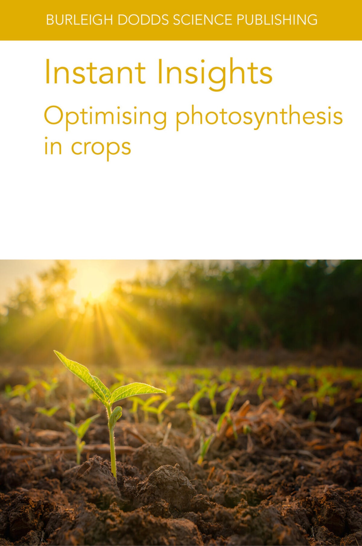 Cover image for Instant Insights: Optimising photosynthesis in crops ISBN 9781801466486