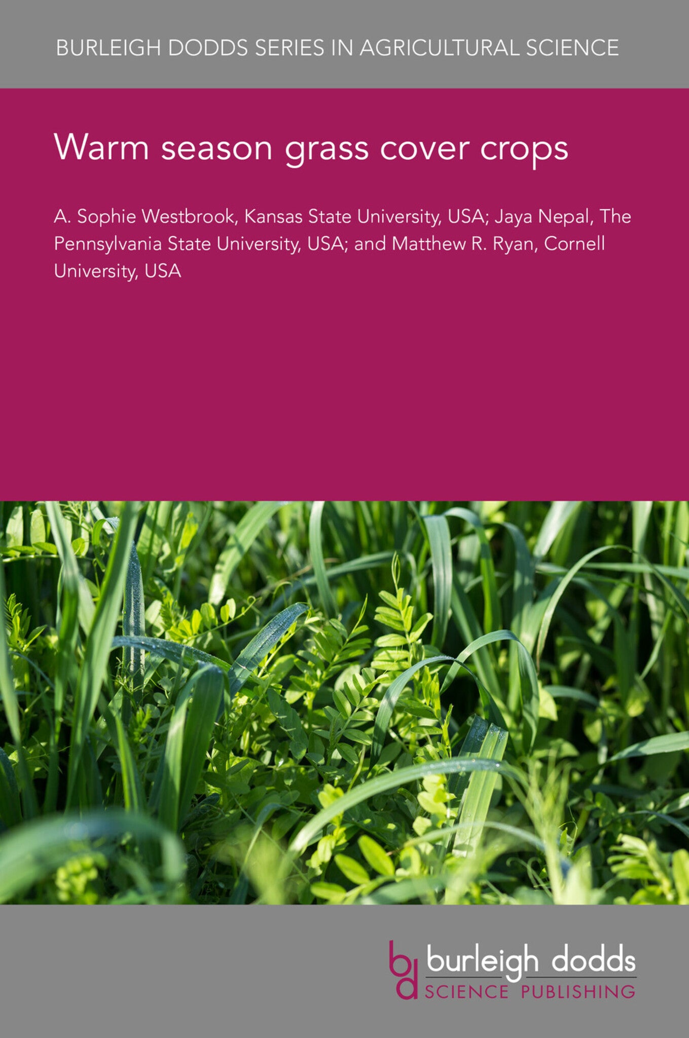 Warm season grass cover crops