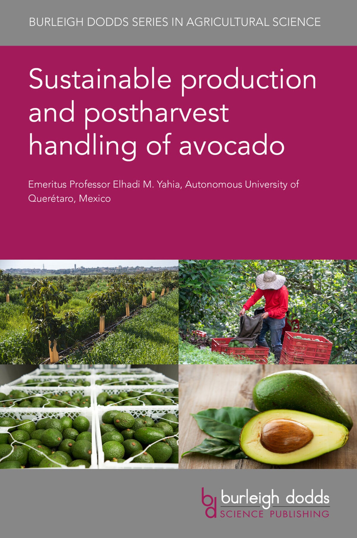Cover image for Sustainable production and postharvest handling of avocado ISBN 9781801467254