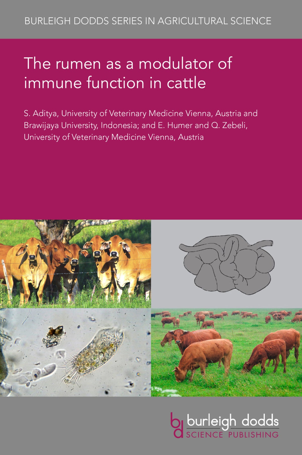 Cover image for The rumen as a modulator of immune function in cattle ISBN 9781786768063