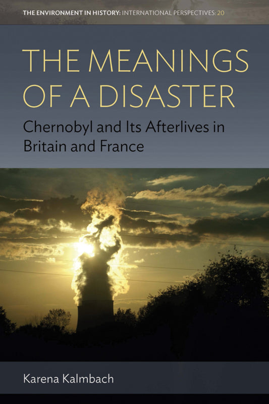 The Meanings of Disaster