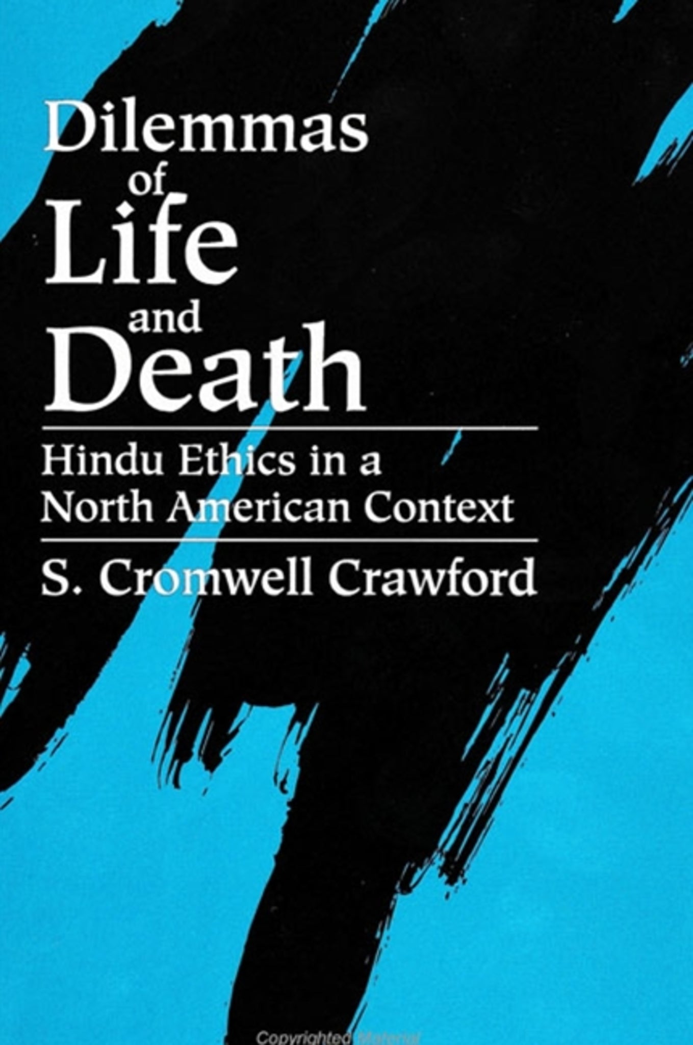 Cover image for Dilemmas of Life and Death ISBN 9780791421666