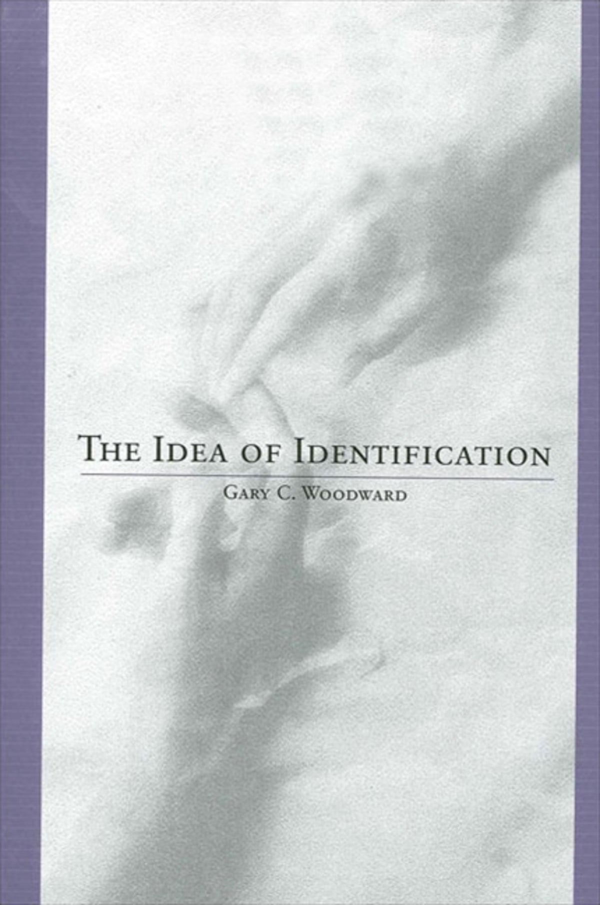 Cover image for The Idea of Identification ISBN 9780791458204