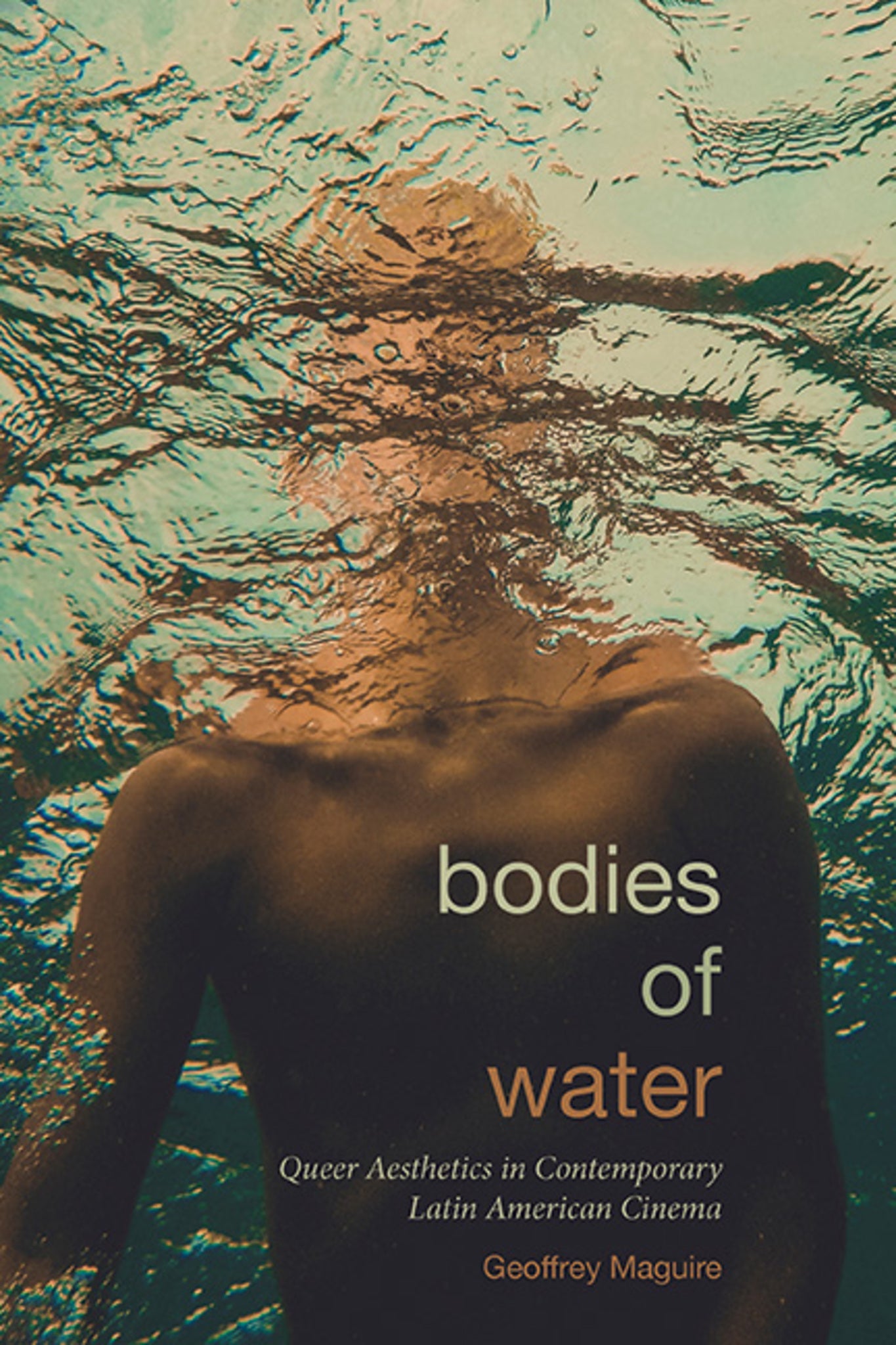 Cover image for Bodies of Water ISBN 9781438499185