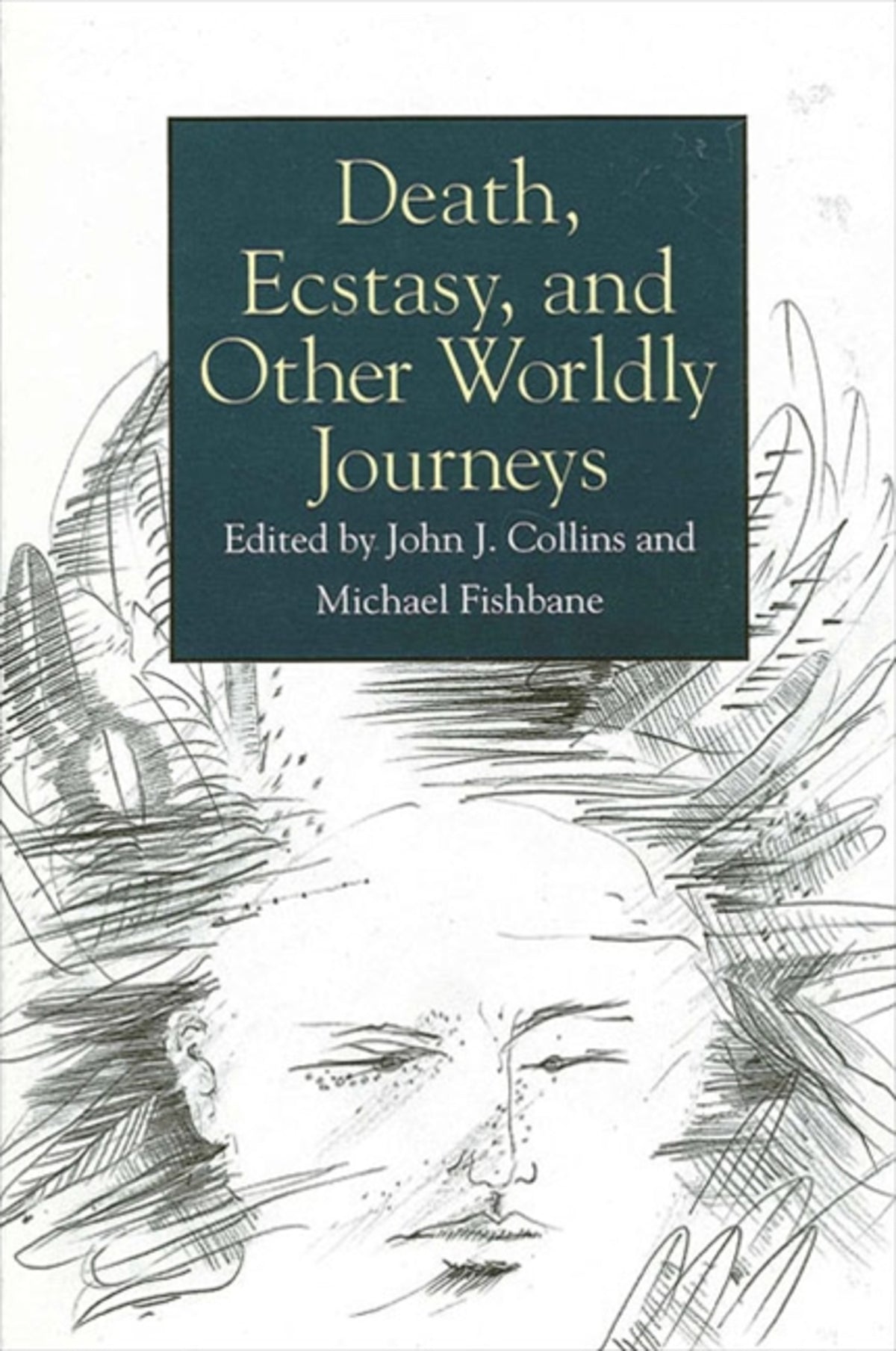 Cover image for Death, Ecstasy, and Other Worldly Journeys ISBN 9780791423455