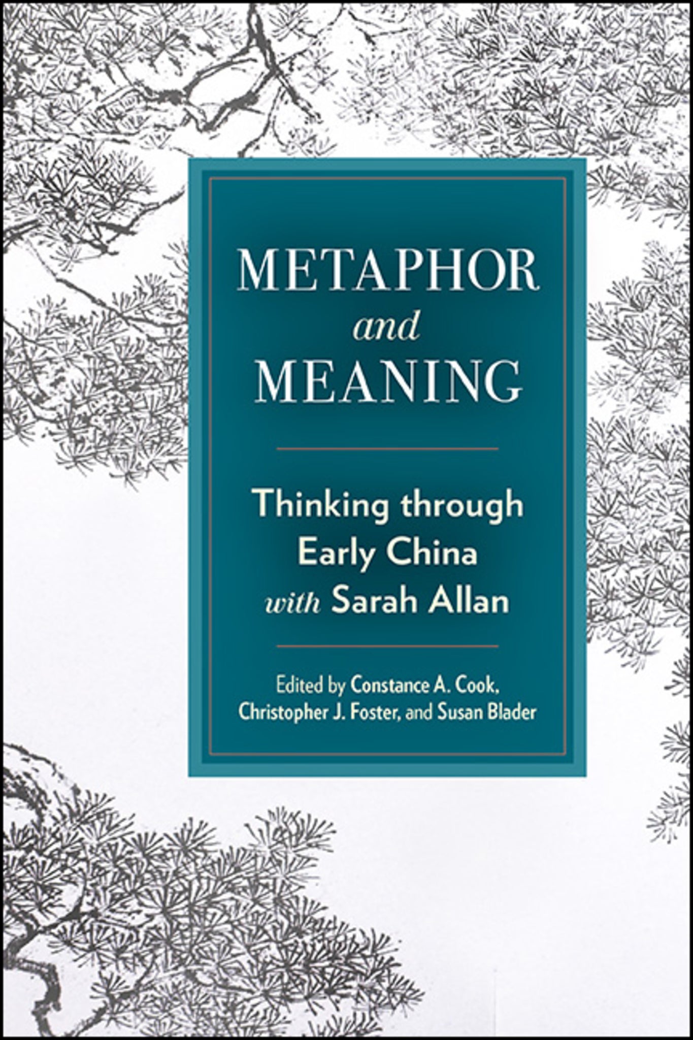 Cover image for Metaphor and Meaning ISBN 9781438498317
